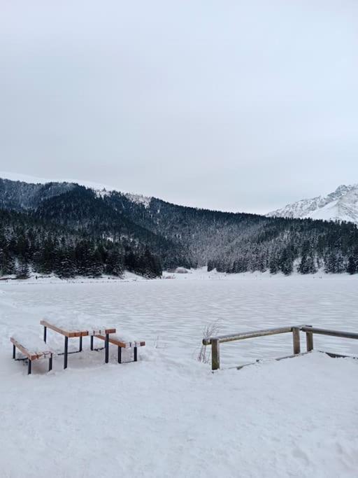 Hébergement de vacances Cosy De Payolle